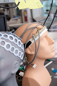 Model Head with Neural Harness